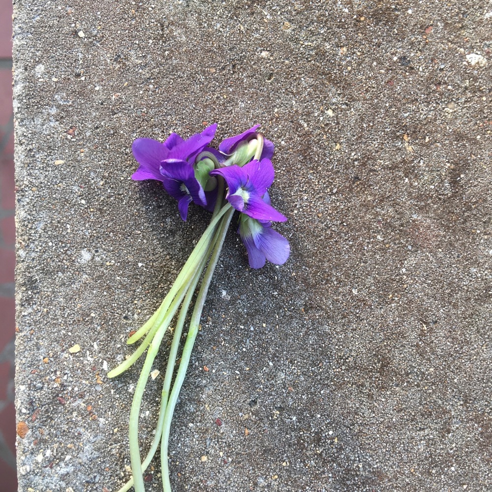 Meet your Posher, Kimberly